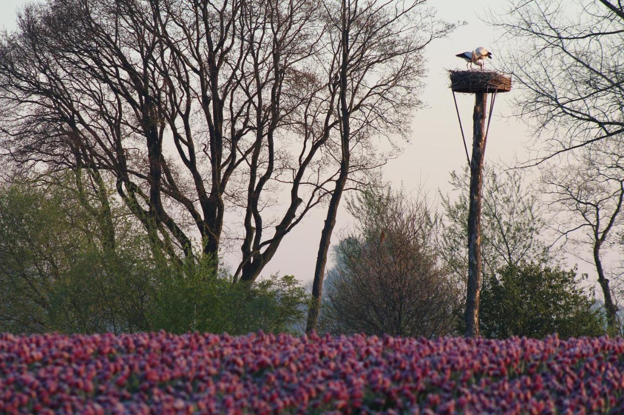 Brinkesdiek Hardenberg Exteriér fotografie