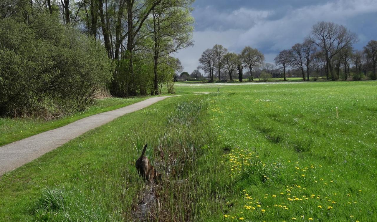 Brinkesdiek Hardenberg Exteriér fotografie