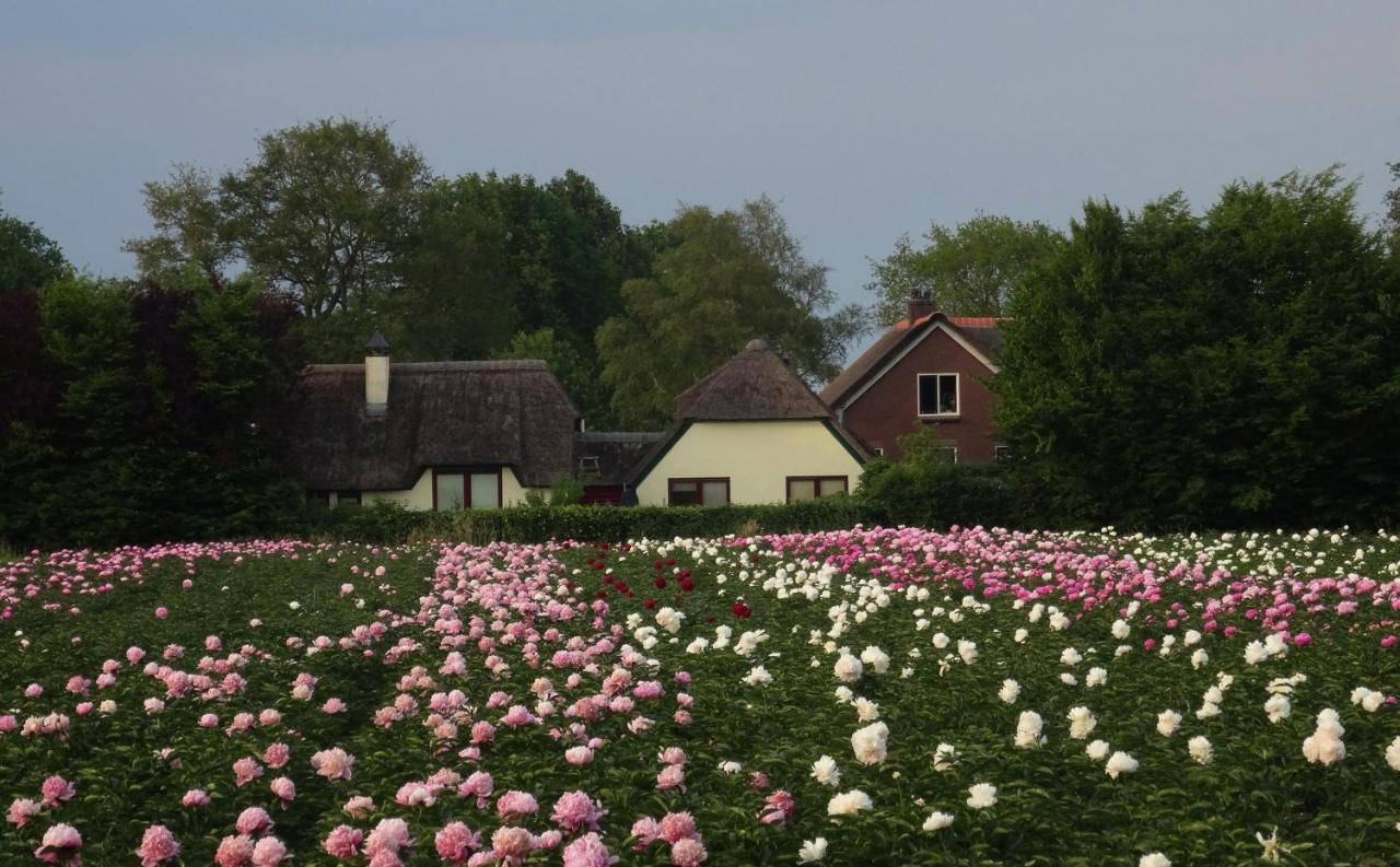 Brinkesdiek Hardenberg Exteriér fotografie